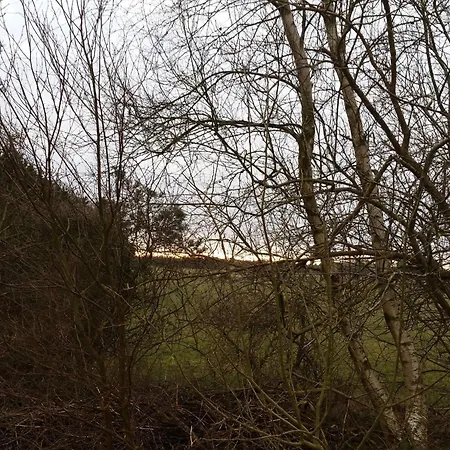 Dom wakacyjny Bright With Covered Terrace-by Traum