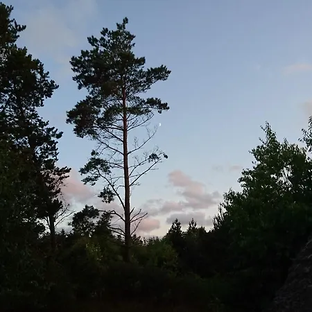 Bright With Covered Terrace-by Traum